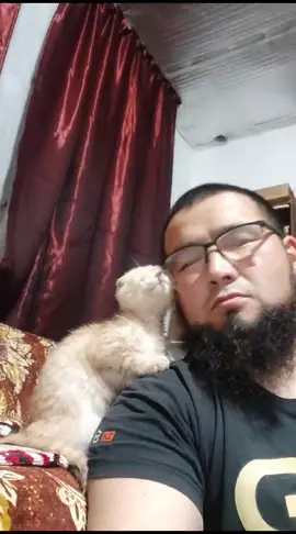 Ерке мысық#Ассаламуалайкум 