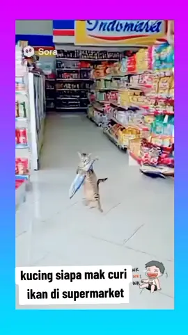 #🤭🤭🤭🤣🤣🤣🤣 