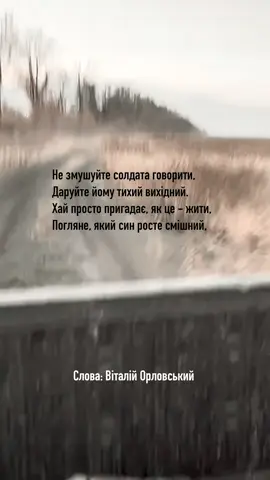 #поверненнядодому #відпустка #пісніпровійну #орловськийвіталій #орловськиймузика 