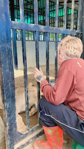 แต่ละวัน🥰#เกมส์เอง 