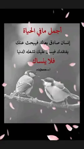 #تصميم_فيديوهات🎶🎤🎬  مجرد ----ذوق 