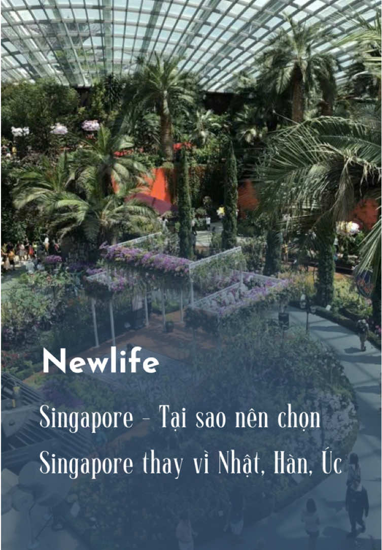 Singapore - Tại nên cho chọn Singapore thay vì Nhật, Hàn, Úc ? #singapore #nhatban #hanquoc #uc #xuhuongtiktok 