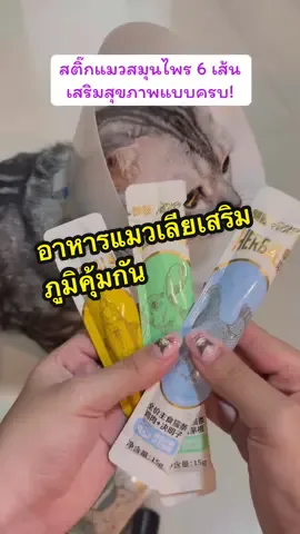 สติ๊กสมุนไพรแมว 🍃 ของดีที่ทาสต้องมี! เสริมสุขภาพครบ ช่วยขับฉี่ ลดก้อนขน บำรุงตา แถมเพิ่มน้ำหนักได้ด้วย 😻 แมวทุกวัยกินได้ น้องชอบมากจนเลียมือไม่หยุด! #ส#สติ๊กแมวสมุนไพรข#ขนมแมวเลียข#ขนมแมวสุขภาพดีแ#แมวกินเก่งบำรุงสายตาแมว     