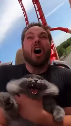 Funny Cat and Man 🤣 #cat #catsoftiktok #sweets #sweetcat #Love 