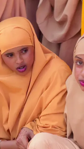 Ka soo saar doogaaga wiillow @Aliko @Ibrahim Abdulle Osman 