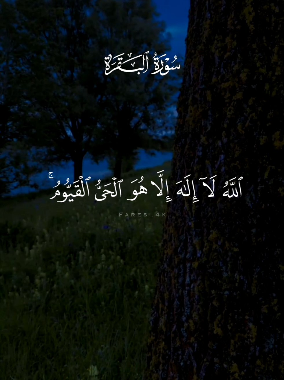 #قران #اسلام_صبحي #quran #قران_كريم #اية_الكرسي 