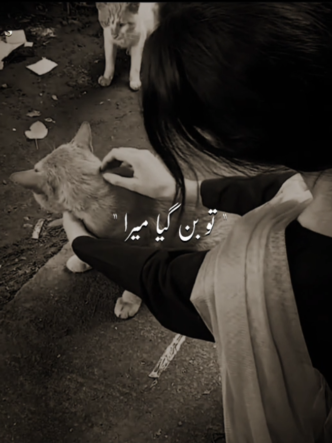 تو بن گیا میرا  ..  #illegurl_v #goviral #viral #fyp #unfreezemyacount 