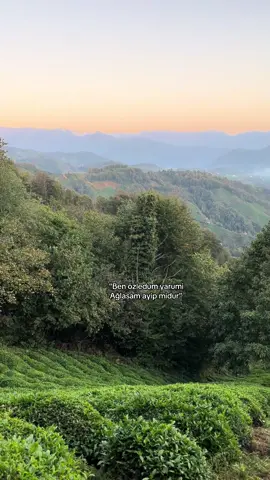 #karadeniz #keşfet #fy 