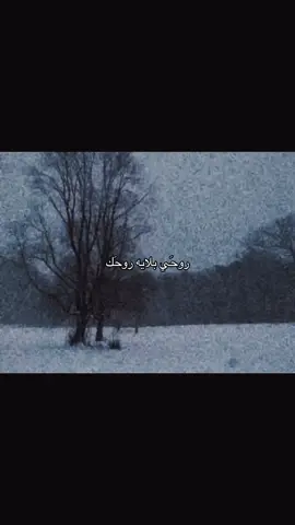 #شعر #fyp #you #علي_رشم #like 