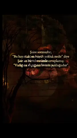 #🖤 