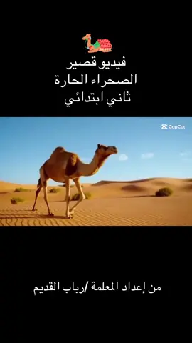 #اكسبلور #استراتيجيات_تدريس #الواقع_الافتراضي #الذكاء_الاصطناعي 