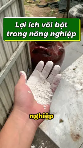 Vôi bột giúp cải tạo đất, trung hoà axit, giúp đất 