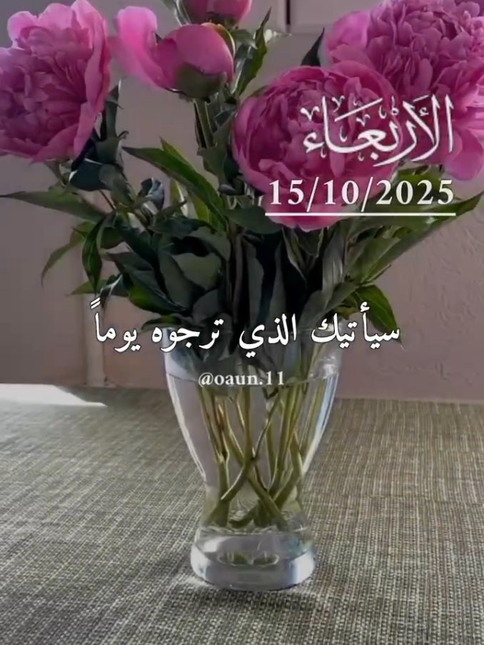 دعاء يوم الأربعاء 🤲🌹🌹  سيأتيك الذي ترجوه يوماً 🌺🌺🌺  #ادعيه_دينيه_تريح_القلب #دعاء_يوم_الاربعاء #اللهم_لك_الحمد_ولك_الشكر #اللهم_امين_يارب_العالمين #اللهم_صل_وسلم_على_نبينا_محمد 