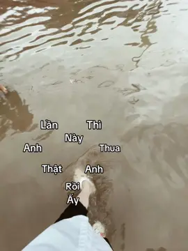 “Là người đến trước nhưng lại vấp ngã” #xh #xhtiktok #viral #tamtrang #abcxyz 