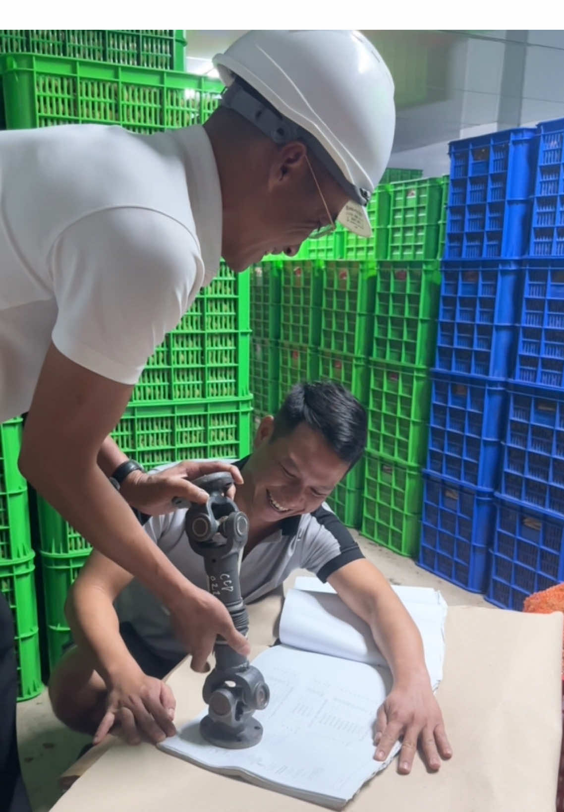 Trọng đớp xin dấu sếp để làm túi đóng vải sấy #thanđopbg #thanđop #tienkheo380v #suhuongtiktok2023❤️❤️ #suhuongtiktok2025❤️❤️❤️🥰❤️❤️ 