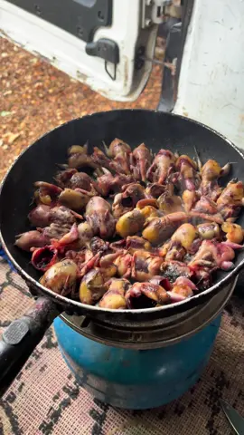 اعذرونا المنظر قاسي لكن الوضع تحت السيطرة