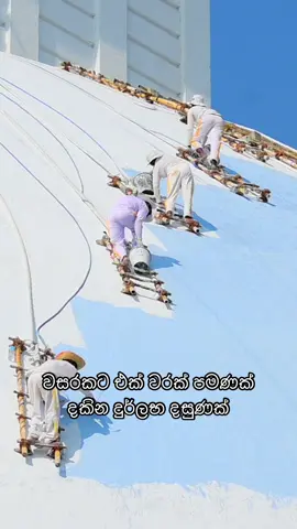 වසරකට එක් වරක් පමණක් දකින දුර්ලභ දසුණක්#Foryoupage #trendingviralvideo #foryoupageofficiall❤️❤️tiktok #new_trending_video_viral_tiktok_video💗💗 #new_trending_video_viral_tiktok_vibe ඇතුගල්පුර ලසිත
