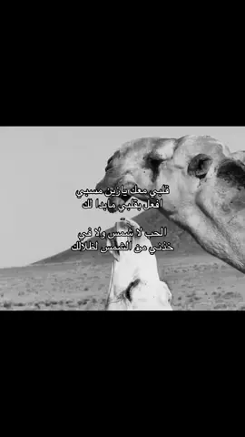 #الشعب_الصيني_ماله_حل😂😂 #اكسبلور 