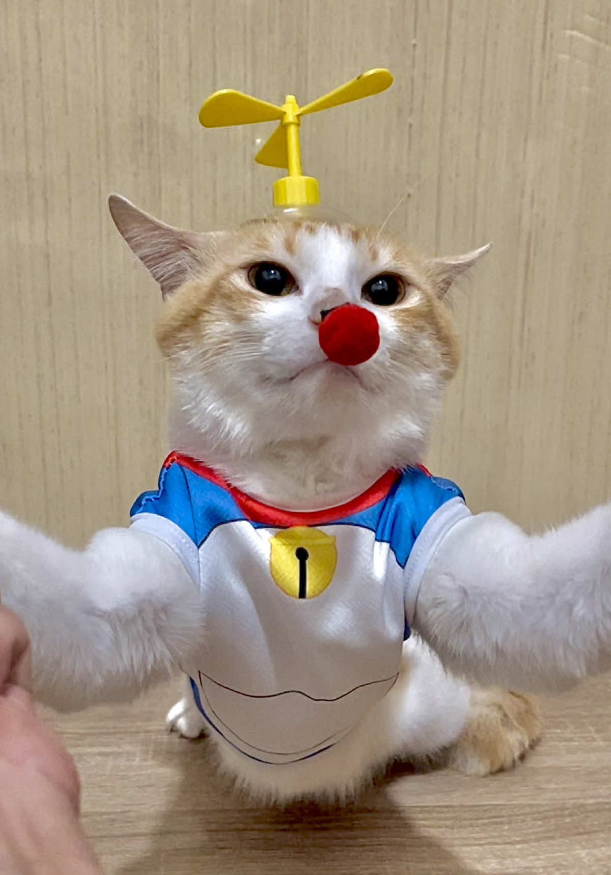 😺 : untung Orin bisa langsung auto cosplay jadi doraemoncing habis di ulti kakak Oreo ehehehee . . #MajesPet #WooPet #ScienceInEveryBite #petcare #catfood 