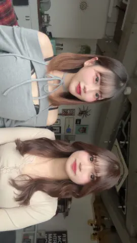 犬顔🐶と猫顔🐱@ゆのねこ #おすすめ 