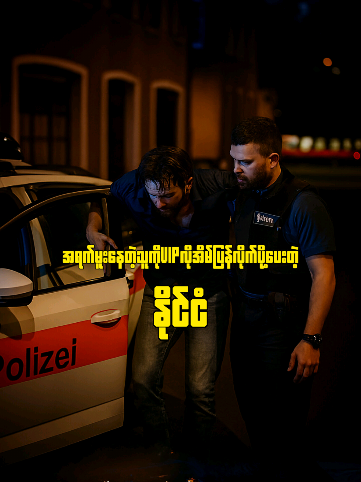 ဒီနိုင်ငံမှာ မူးရင် ရဲခေါ်လိုက် 🚓🤯 တနင်္ဂနွေမှာ အသံကျယ်ရင် ဒဏ်ရိုက်ခံရမယ်! 🤫 #switzerland #unbelievable #DidYouKnow#tiktokmyanmar #fyp 