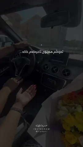 چواردەی خەزەڵوەر🤎#fyp #tiktok #actives? #foryoupage #foryour 
