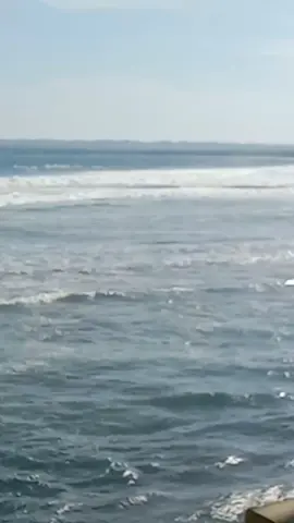 #yangkayamakinkayayangmiskintambahmiskin #djremix #music #liriklagu #fypage 