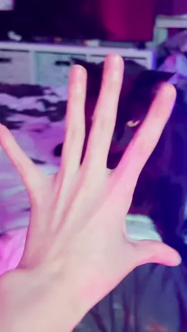 Poutine the loaf of bread thief #hughjackman #jeanvaljean #blackcat #lesmiserables #javert 