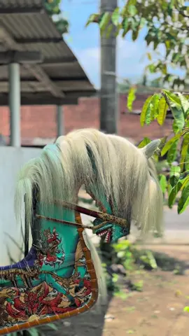 Surine kudu tipis, man eman batik e nek ketutupan @Jaran_Blantik Jaran✨  #jaranantemanggungan #jaranantiktok #jarantemanggung #temanggung24jam #magelang24jam 