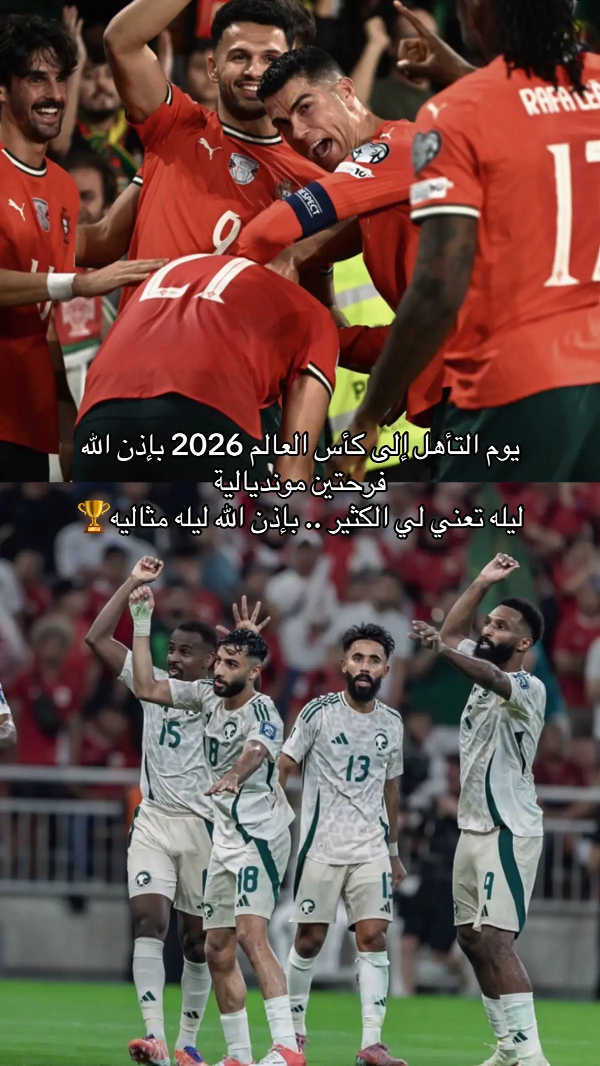 ❤️🇵🇹🇸🇦 #ronaldo #sudia 