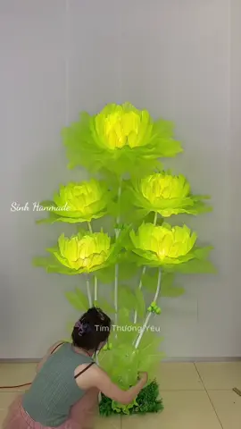 Để hoa trong nhà thì đẹp hết ý