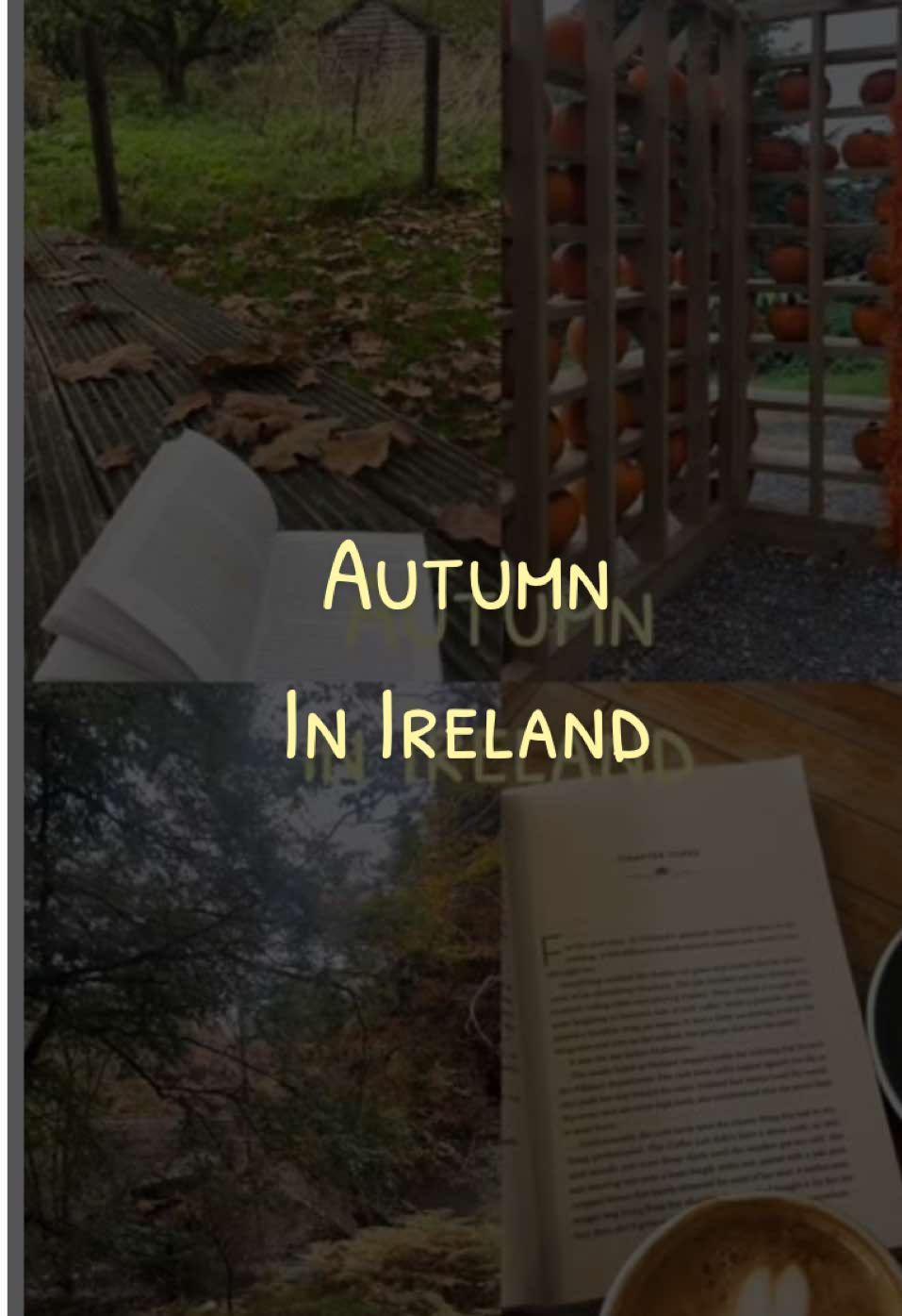 Ireland in autumn. I just fall in love every year 🍂 #ireland #reading #irishbooktok #autumn #irishvlog 