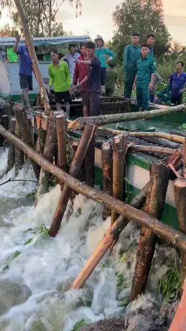 Vĩnh Châu, Tây Ninh ứng cứu kịp thời #longan #tayninh 