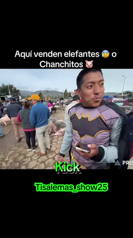 Hasta elefantes saben vender 🐘#feria #fyp #ventastiktok 