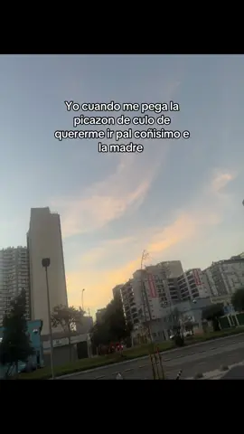 Mentiras no es🤣🤣🤣#santiagodechile #venezolanosenelmundo #gochita🇻🇪 