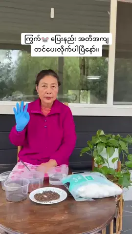 ကြွက်🐭 ပြေးနည်း အတိအကျ တင်ပေးလိုက်ပါပြီနော်။ #SumlutNazaw 