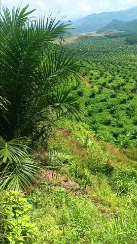আহারে জীবন😌🥺😁#tiktok #video #foryou #কুমিল্লার_ছেলে 