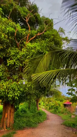 Nữa muốn bôn ba, nữa muốn về nhà, cơm áo gạo tiền đã chiếm một nửa thanh Xuân của chúng ta 😔😔😔😔