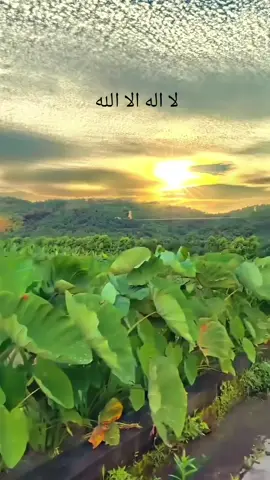 إلا إله إلا الله 