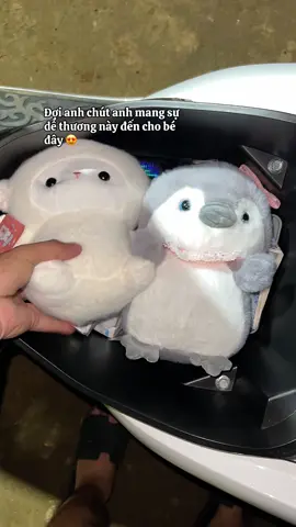 Sự dễ thương này đang trên đường vận chuyển đến tay em 😍#quatangnguoiyeu #tinhyeu #dethuong #gaubong #viral 