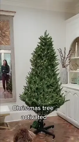 The best Christmas tree you’ll ever see!🎄 C: Trophymoms_ (Instagram) #christmas #xmas #bestofchristmass #festive #christmasdecor 