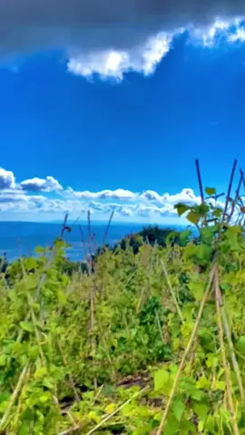 🥀🌺🥀#keşfet #gurbettbeniöneçıkar #atebe #daglar #WheneverWherever 