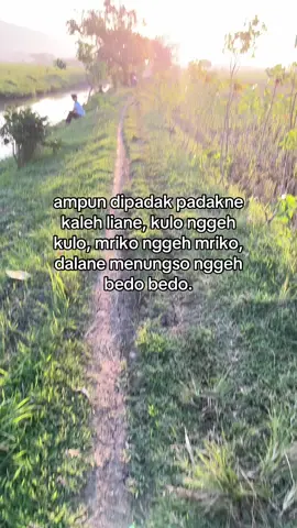 #fyp #bismillahfyp #katakatajawa #jawastory 