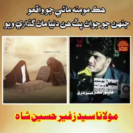 Moulana Sayed Zafeer Hussain Shah.. @Zawar Gzanfar110 @M Riaz H Najafi @Niaz Films @ZawarJahanzebAli 