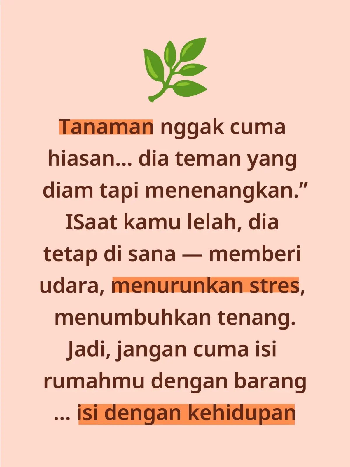 #bogorflorist #plantsoftiktok #motivasi #fyp #katakata 