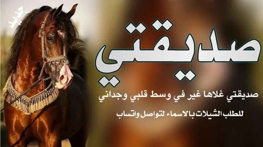 شيلة مدح صديقتي #اكسبلور #اكسبلور explore# السعودية 🇸🇦#الشعب _الصني _ماله _ حل😂😂#for you #you 