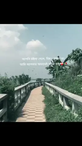 ❤️‍🩹#foryou #tiktok #lyrics #viralvideo 