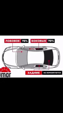 мой тгк с моей главной целью: vxmxxs 🖤 #vxmxxs 