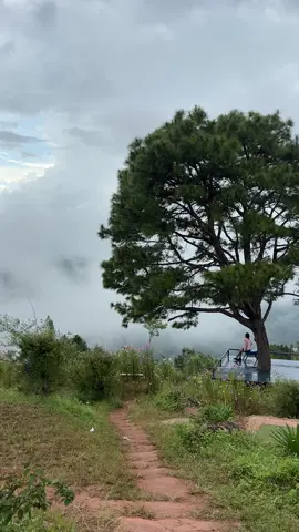 ကနေ့ ခုံပြာမှာ တော့  မြူပင်လယ်ဖစ်လိုက်  တိမ်ပင်လယ်ဖစ်လိုက်နဲ့ ရှယ်ဘဲဗျာ 🥰 ☁️  #myanmartiktok  #kalaw  #foryou  #fyp  #ရောက်ချင်တဲ့နေရာရောက်👌 
