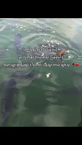 #sorry pr nw😓#ဘာမှမရေးတော့ဘူး😞 